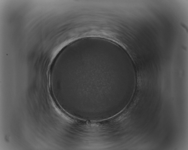 X0000101121515200807031752
