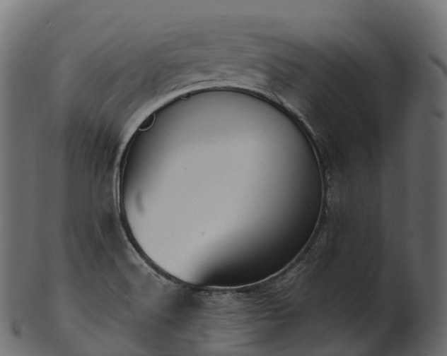 X0000101121516200807031752