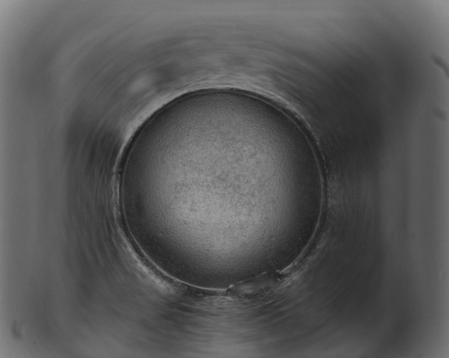 X0000101121517200807031752