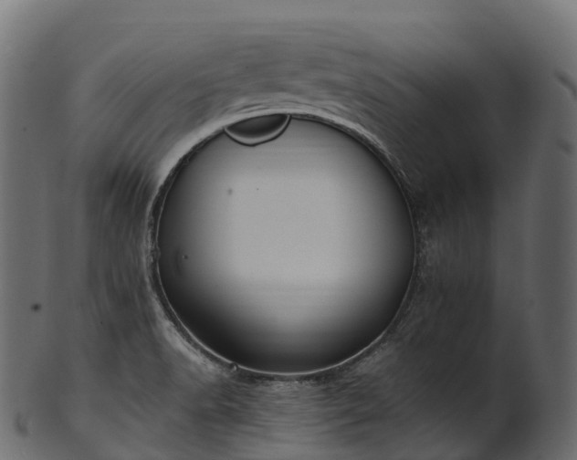 X0000101121518200807031752