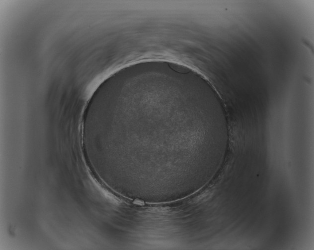 X0000101121519200807031752