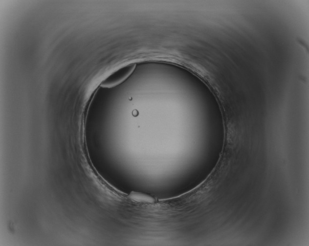 X0000101121520200807031752