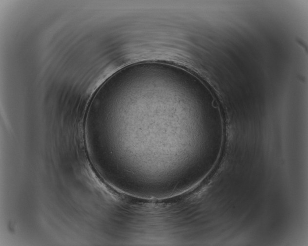 X0000101121521200807031752