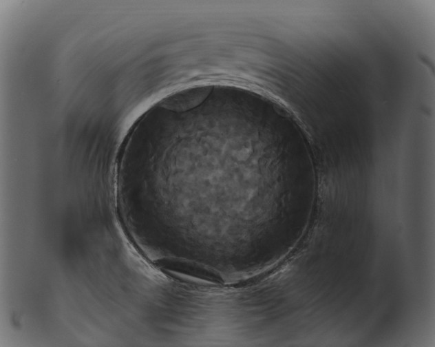 X0000101121522200807031752