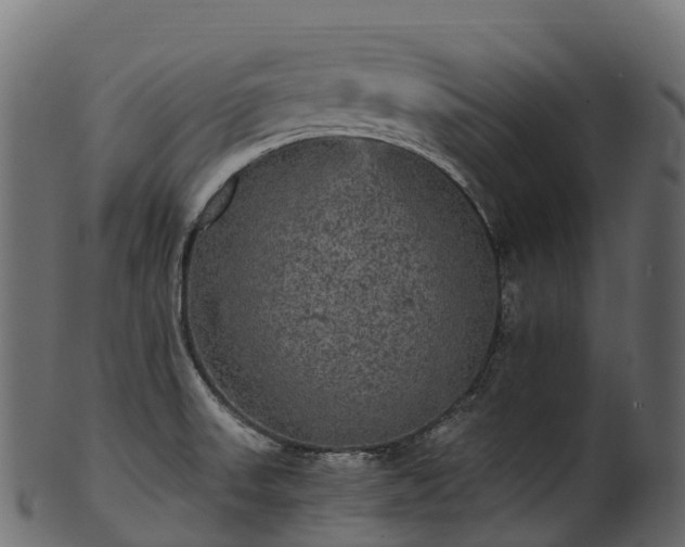 X0000101121523200807031752
