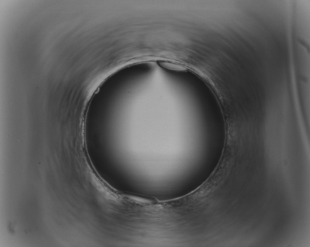 X0000101121524200807031752
