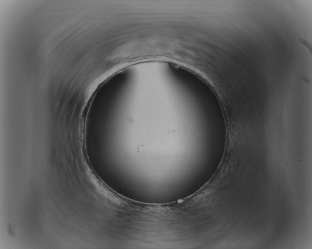 X0000101121526200807031752