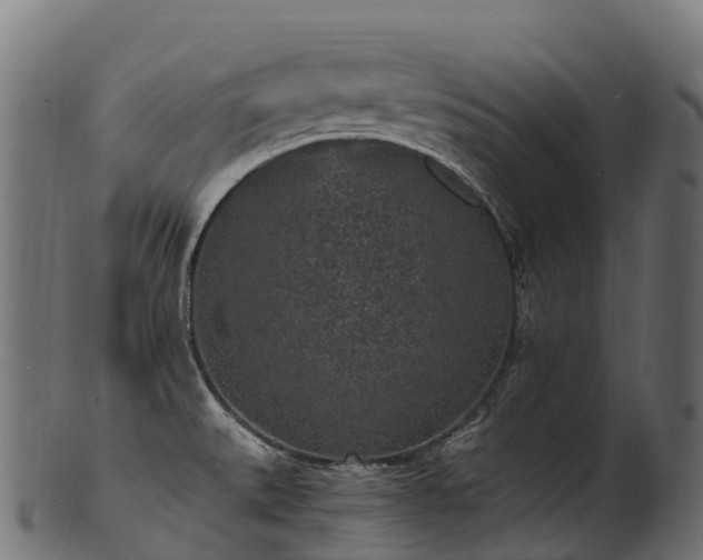 X0000101121527200807031752