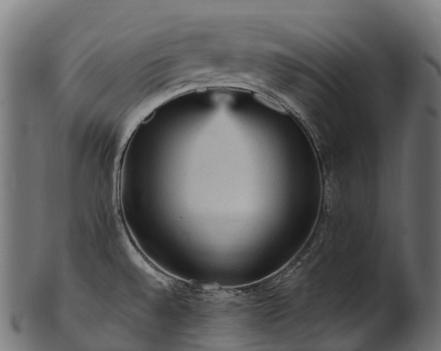 X0000101121528200807031752