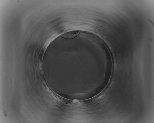 X0000101121529200807031752