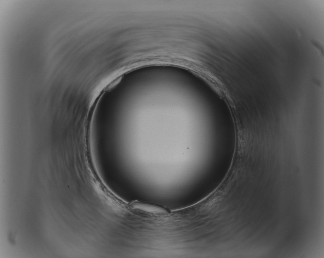 X0000101121530200807031752