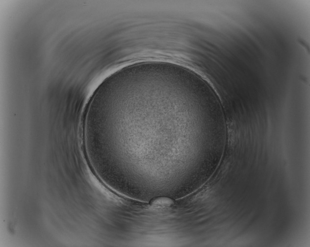 X0000101121531200807031752