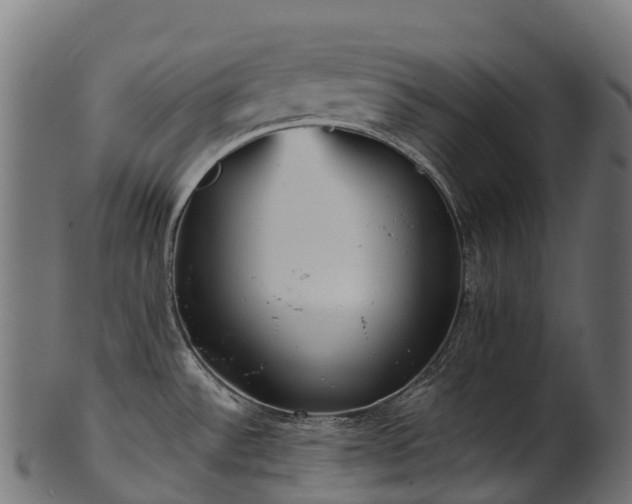 X0000101121532200807031752