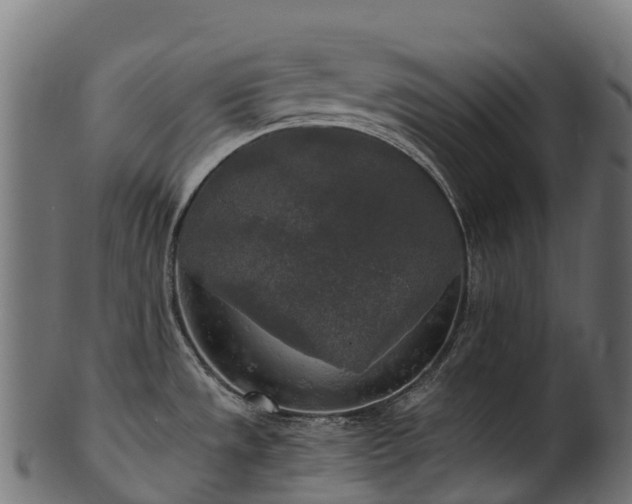 X0000101121533200807031752