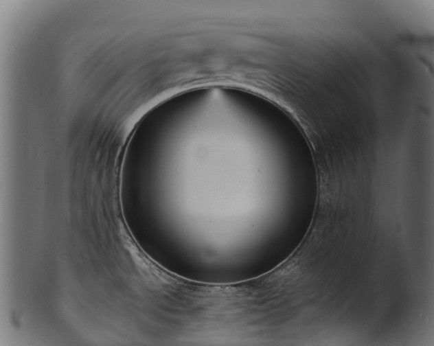 X0000101121534200807031752