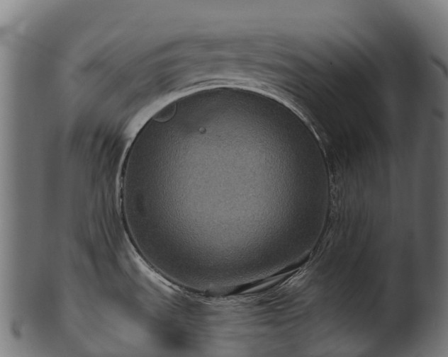 X0000101121535200807031752