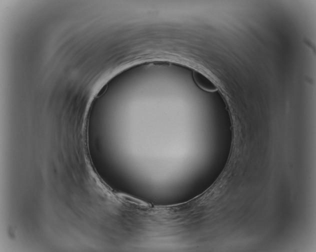 X0000101121536200807031752