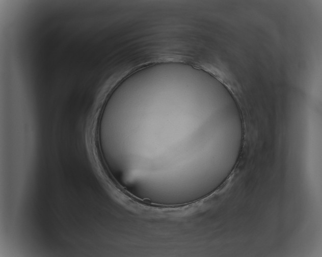 X0000101120001200807101553