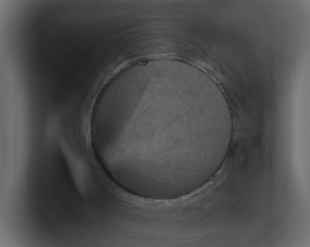 X0000101120002200807101553