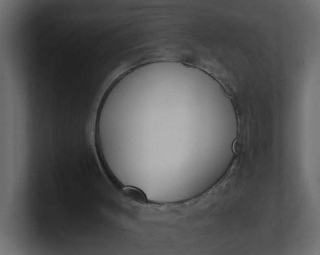 X0000101120003200807101553