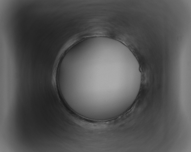 X0000101120004200807101553