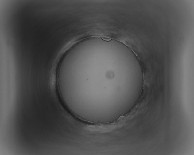 X0000101120005200807101553