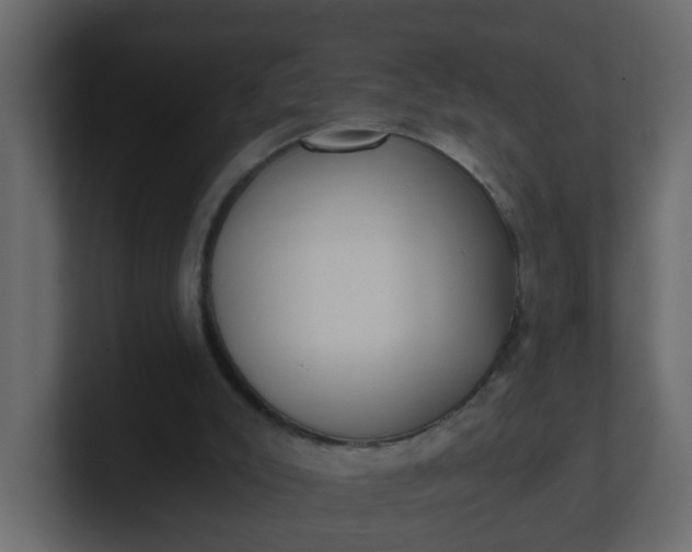 X0000101120007200807101553