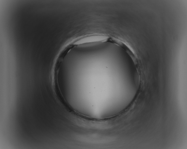 X0000101120008200807101553