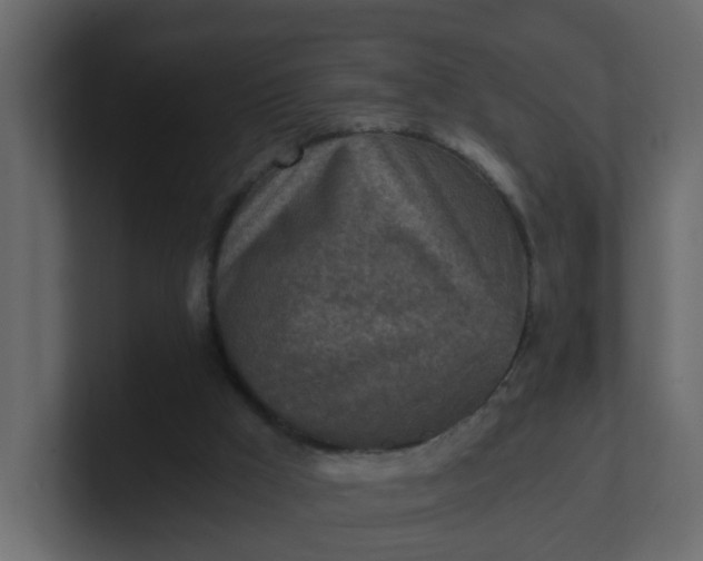 X0000101120009200807101553