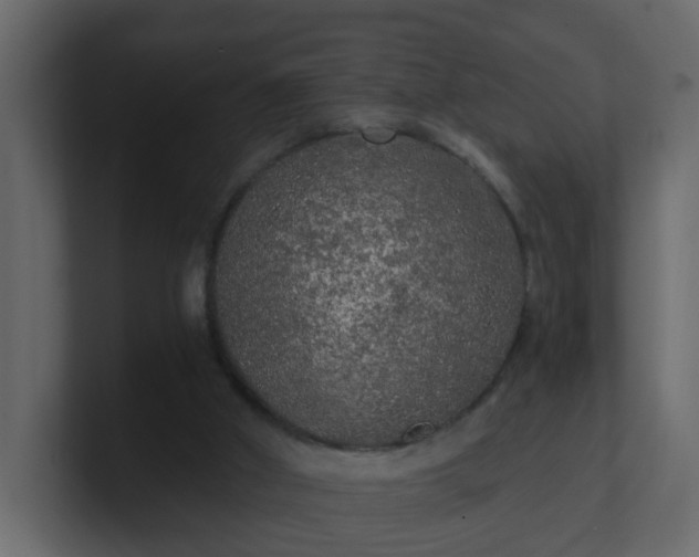 X0000101120010200807101553