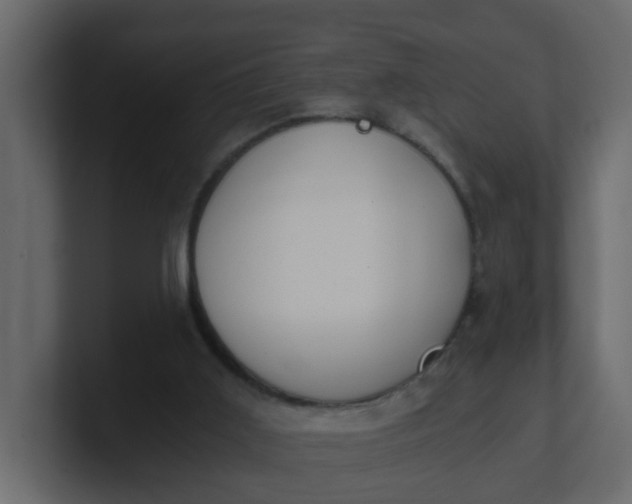 X0000101120011200807101553