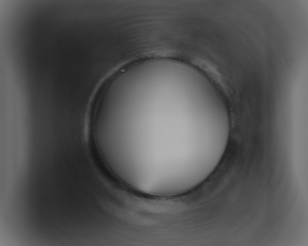 X0000101120012200807101553