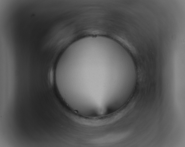X0000101120014200807101553