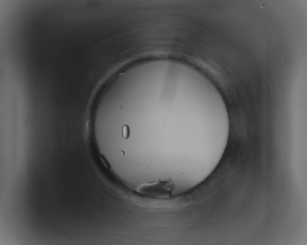 X0000101120016200807101553