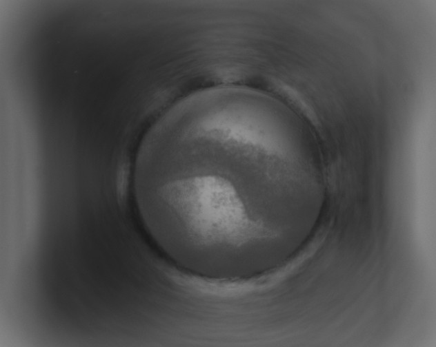 X0000101120018200807101553