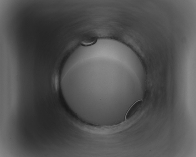 X0000101120019200807101553