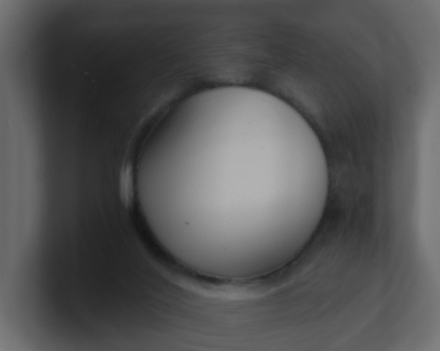 X0000101120020200807101553