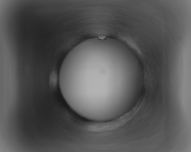 X0000101120021200807101553