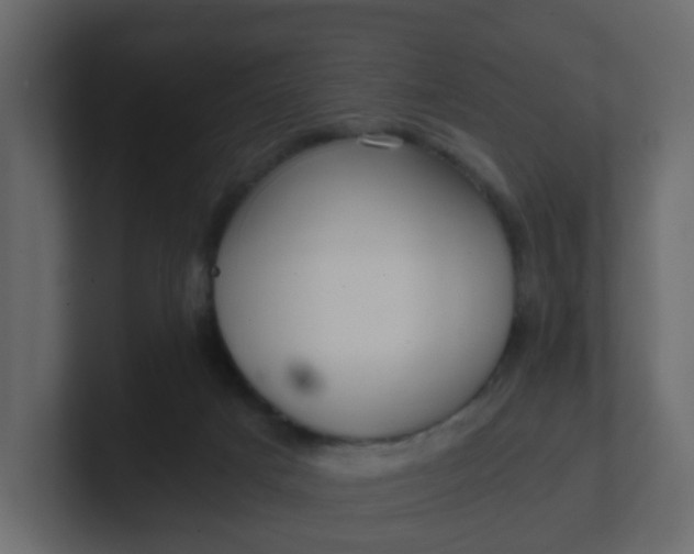 X0000101120025200807101553