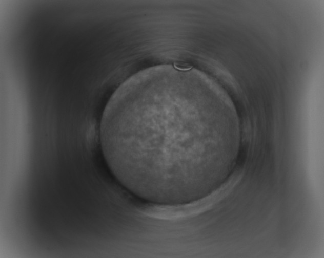 X0000101120029200807101553
