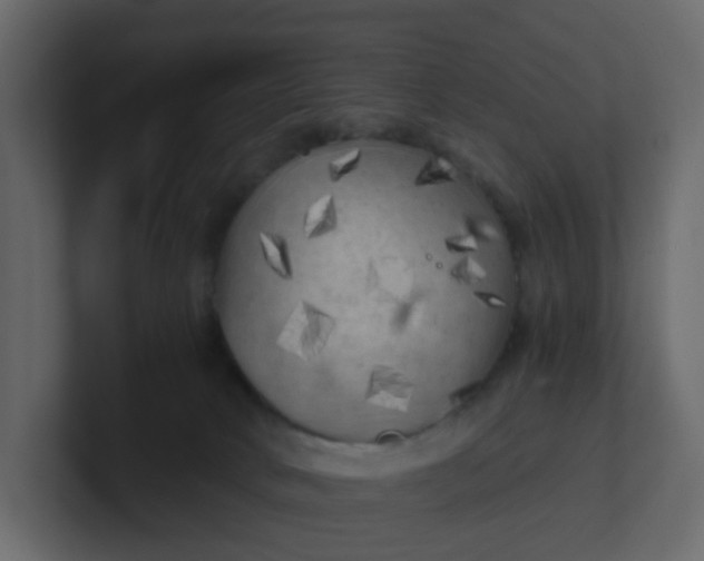 X0000101120034200807101553