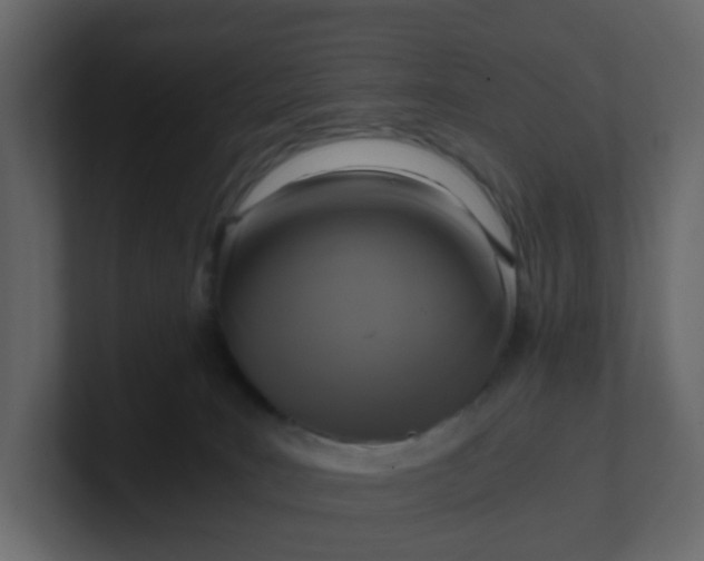 X0000101120035200807101553