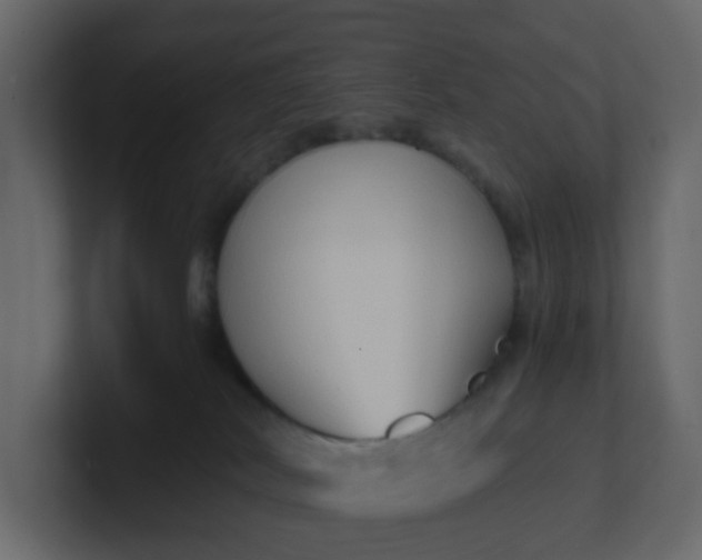X0000101120038200807101553