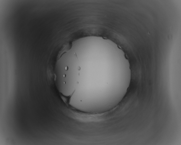 X0000101120040200807101553