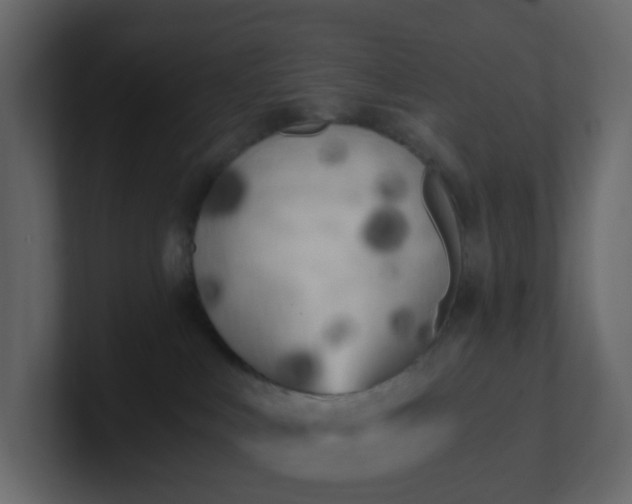 X0000101120043200807101552