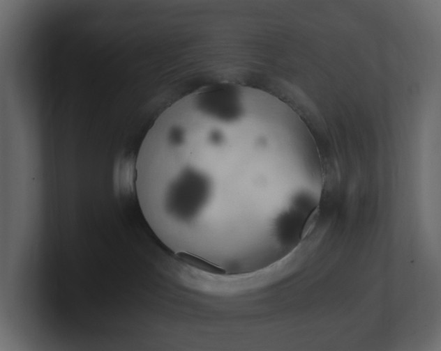X0000101120047200807101552