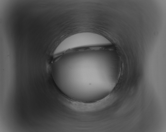 X0000101120048200807101552