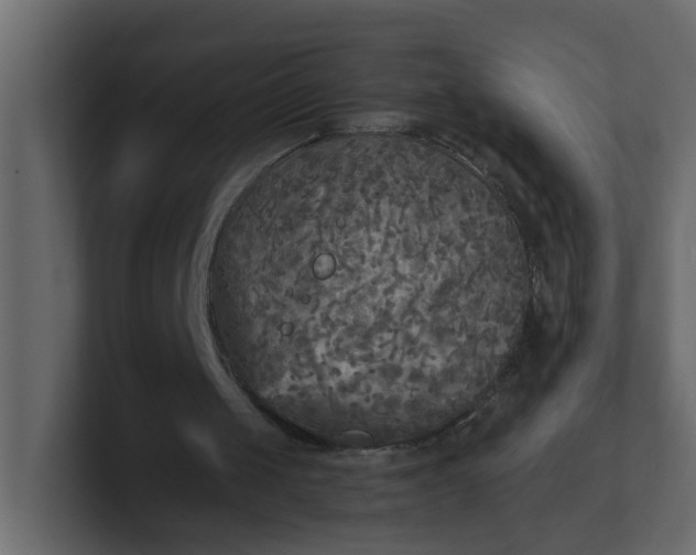 X0000101120049200807101552