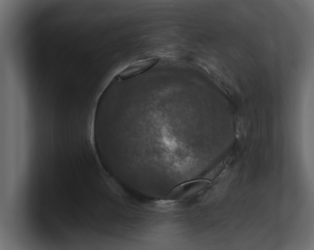 X0000101120052200807101552