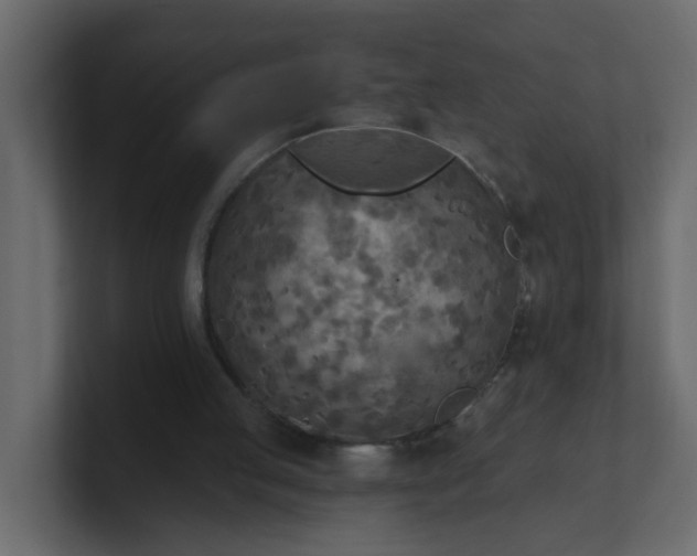 X0000101120053200807101552